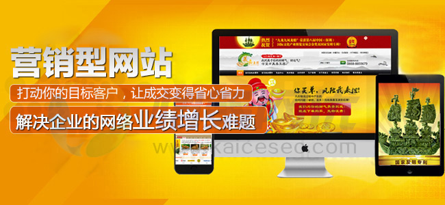營銷型企業(yè)網(wǎng)站為企業(yè)解決網(wǎng)絡業(yè)績增長難題