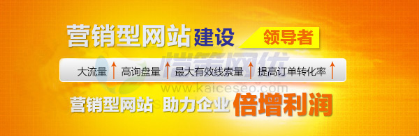 愷策網(wǎng)優(yōu)營銷型建設(shè)領(lǐng)導(dǎo)者