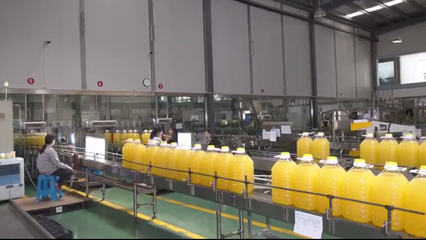 油訊包裝制品的行業現狀與發展前景