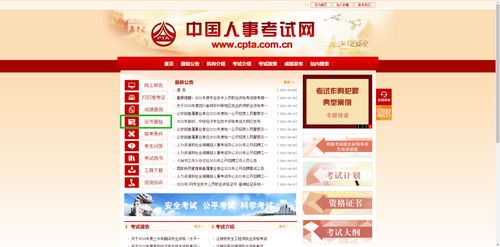 2025年護(hù)士資格電子證書打印入口及信息技術(shù)咨詢服務(wù)指南